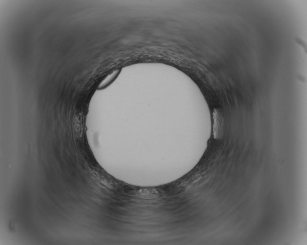 X0000090971491200708301214