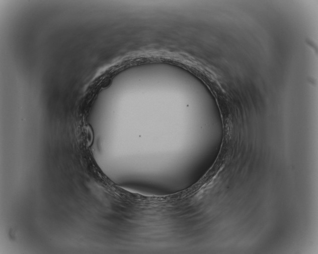 X0000090971494200708301214