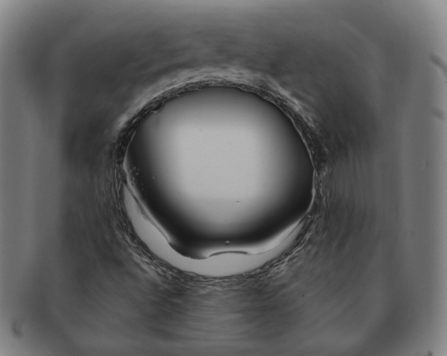 X0000090971496200708301214