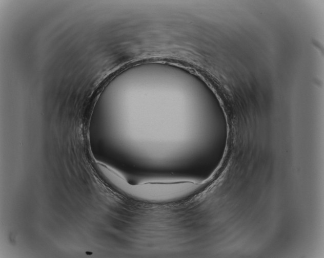 X0000090971497200708301214