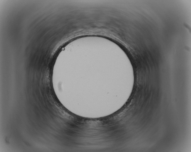 X0000090971498200708301214