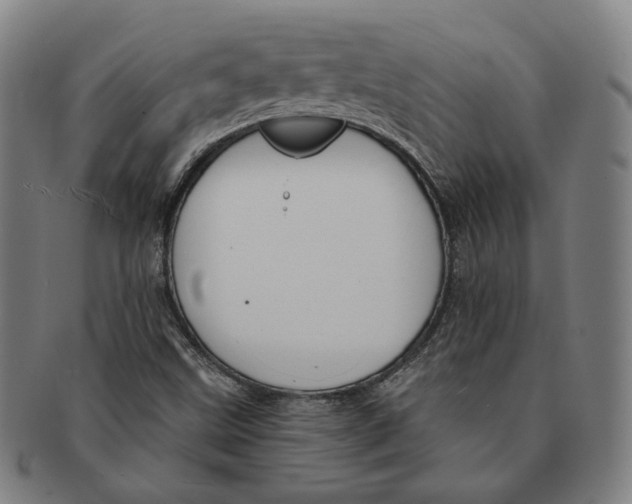 X0000090971499200708301214