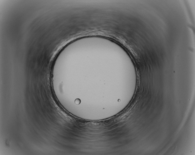 X0000090971500200708301214