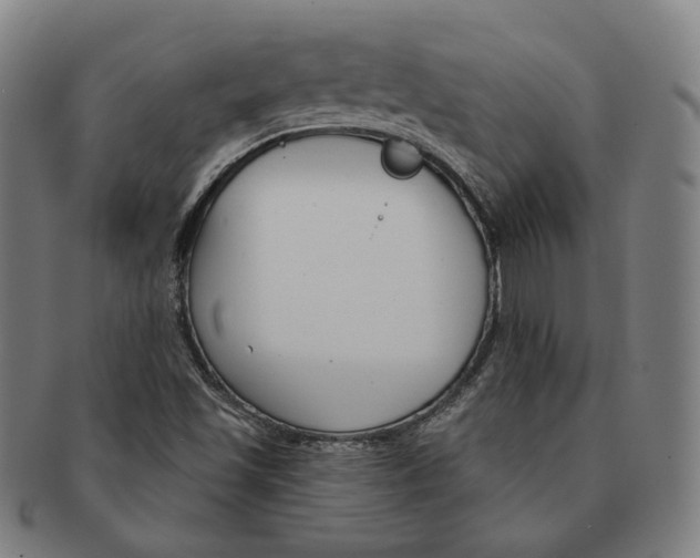 X0000090971501200708301214