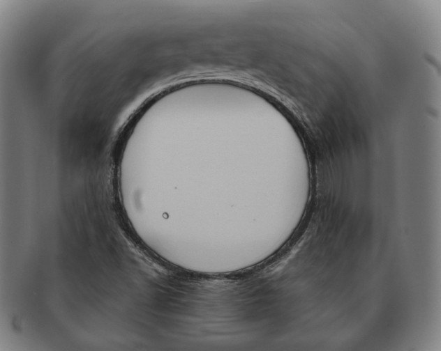 X0000090971502200708301214