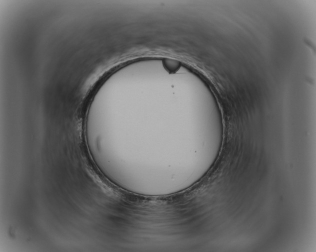 X0000090971503200708301214