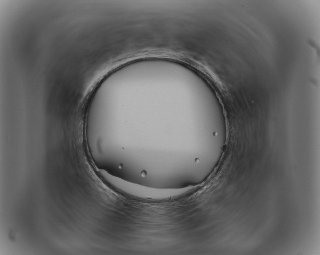 X0000090971504200708301214