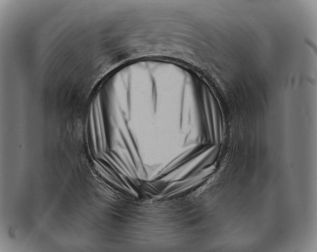 X0000090971505200708301214