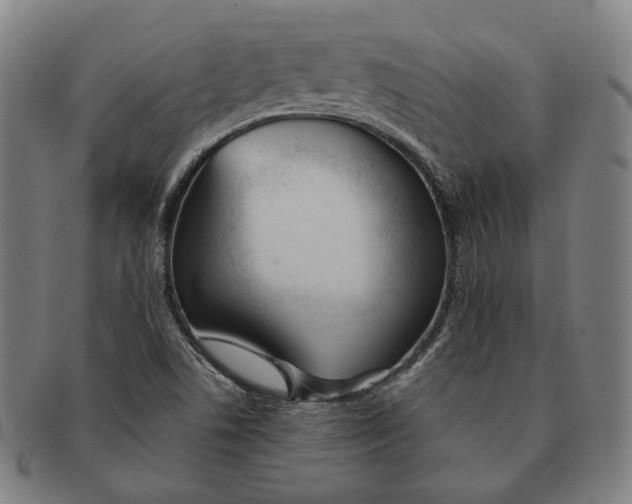 X0000090971506200708301214