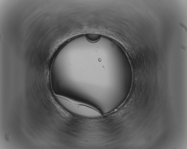 X0000090971507200708301214