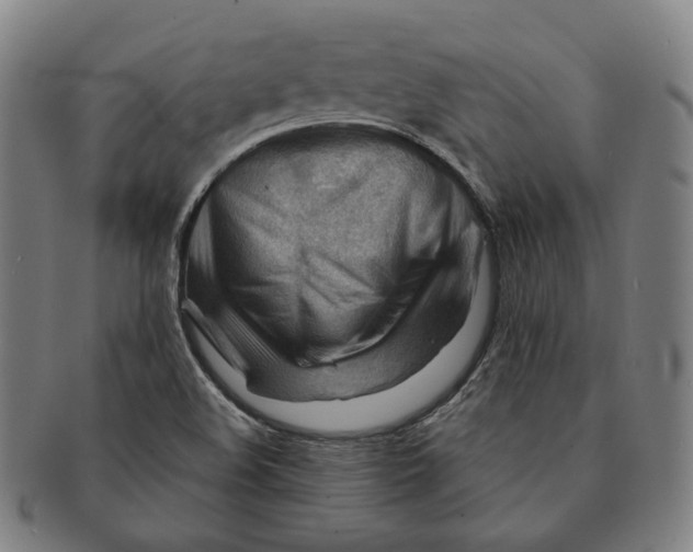 X0000090971508200708301214