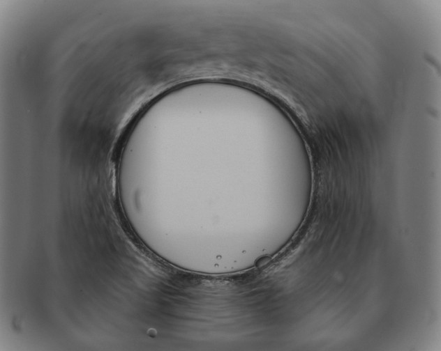 X0000090971509200708301214