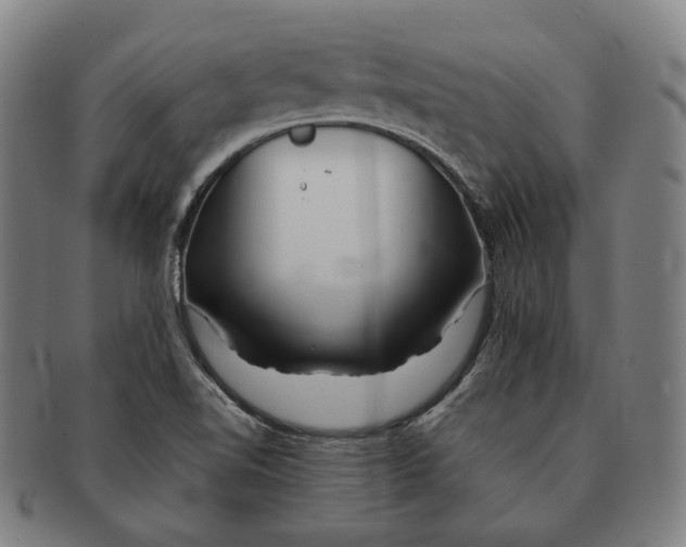 X0000090971510200708301214