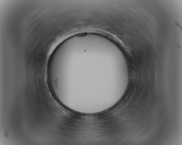 X0000090971512200708301214