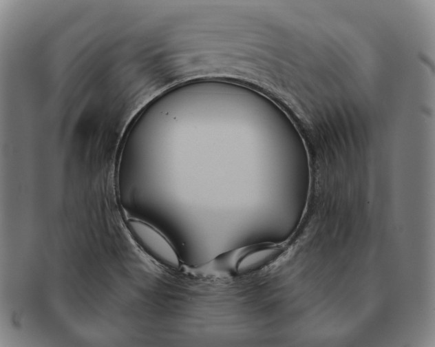 X0000090971513200708301214