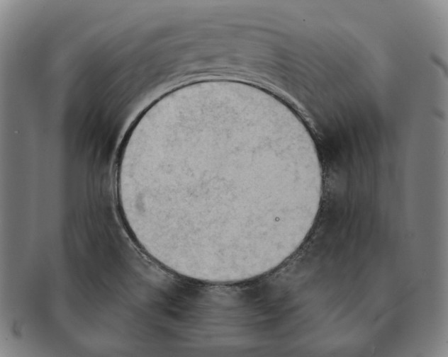 X0000090971514200708301214