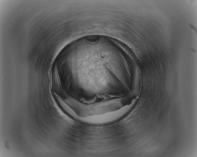 X0000090971515200708301214