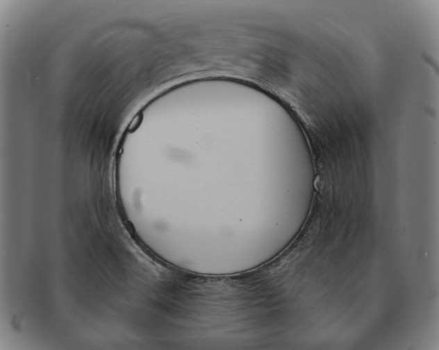 X0000090971516200708301214