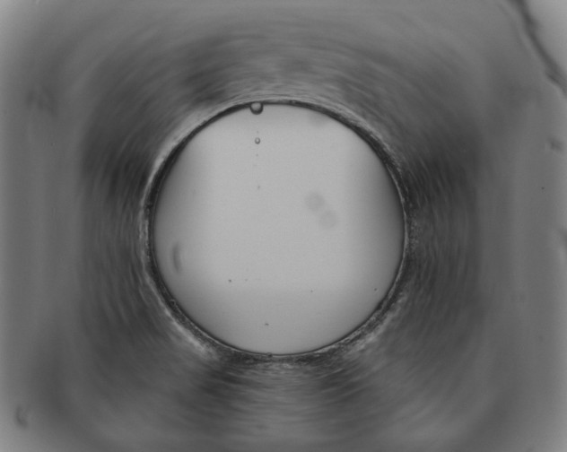 X0000090971517200708301214