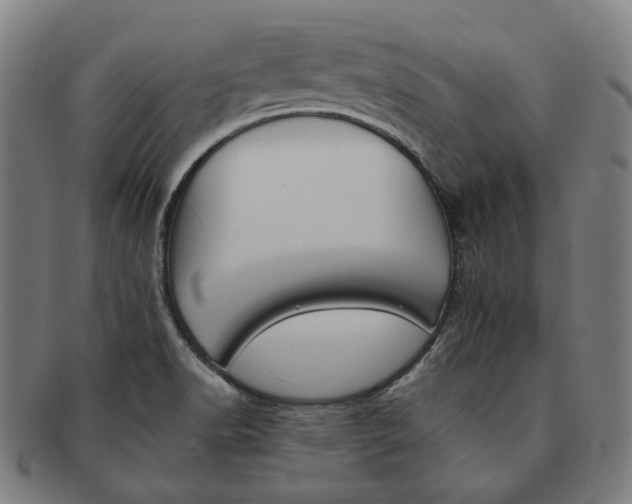 X0000090971518200708301214