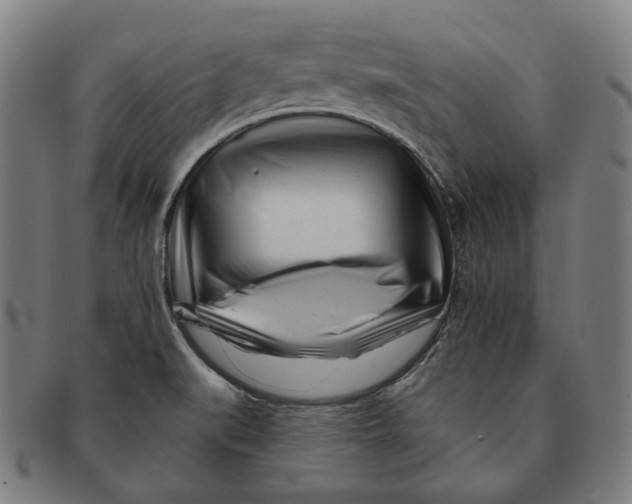 X0000090971519200708301214