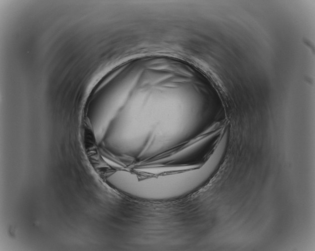 X0000090971520200708301214