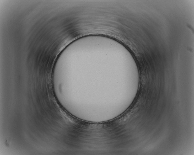 X0000090971521200708301214