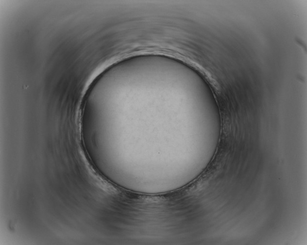 X0000090971522200708301214