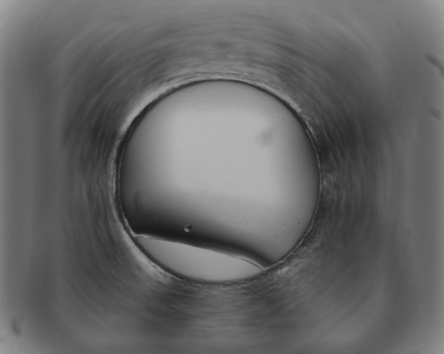 X0000090971523200708301214