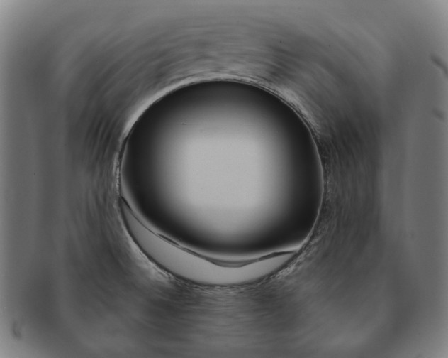 X0000090971524200708301215