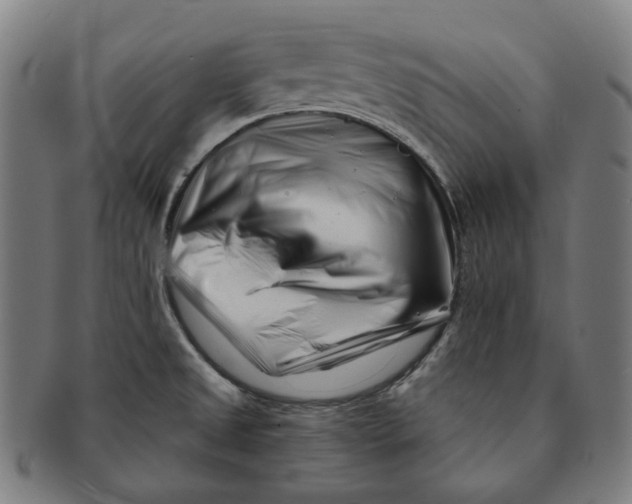 X0000090971525200708301215