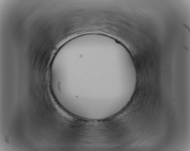 X0000090971526200708301215