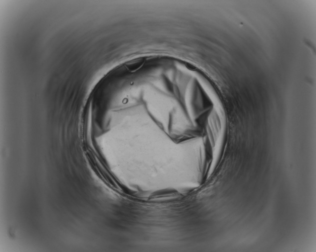 X0000090971527200708301215