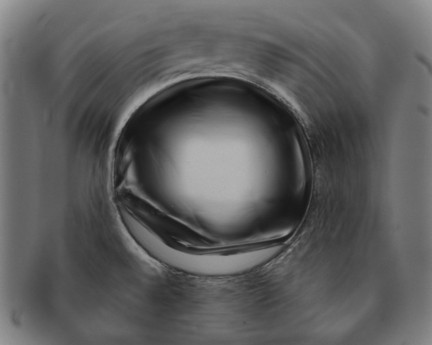 X0000090971528200708301215