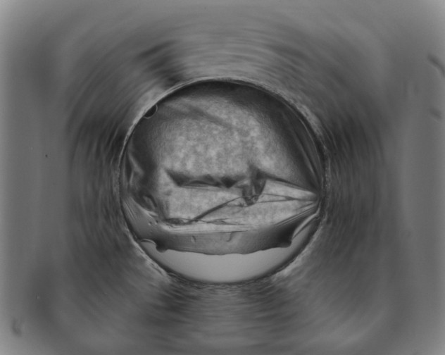 X0000090971529200708301215