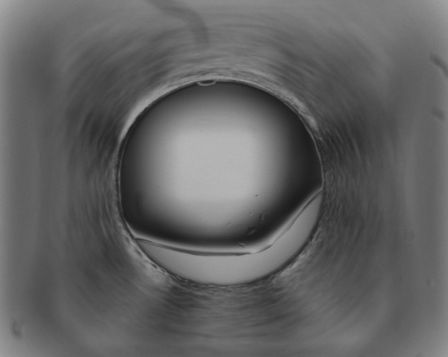 X0000090971530200708301215