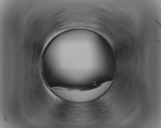 X0000090971531200708301215