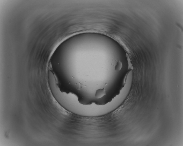 X0000090971532200708301215