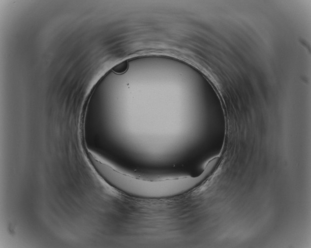 X0000090971533200708301215