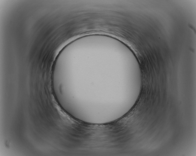 X0000090971534200708301215