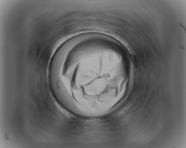 X0000090971535200708301215