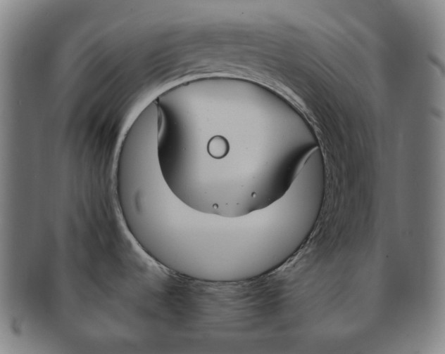 X0000090971536200708301215