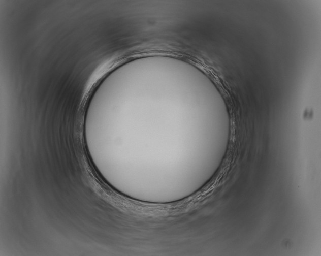 X0000090980004200708021151