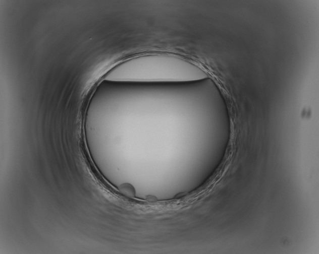 X0000090980005200708021151