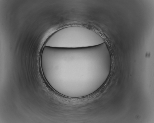 X0000090980006200708021151