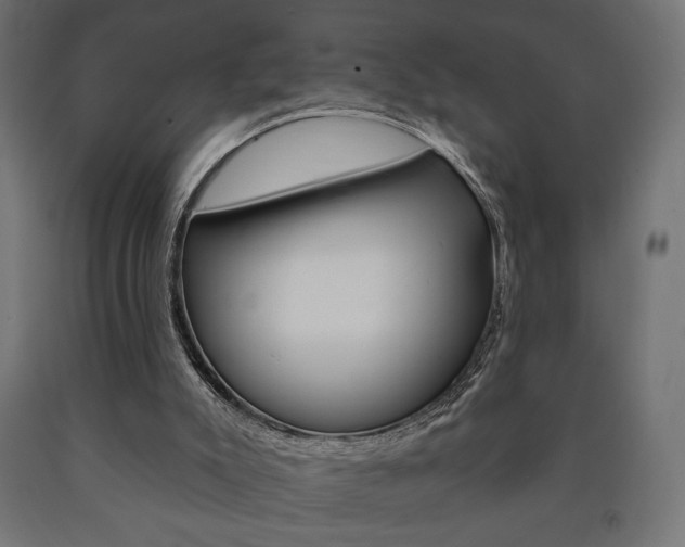 X0000090980007200708021151