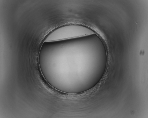X0000090980009200708021151