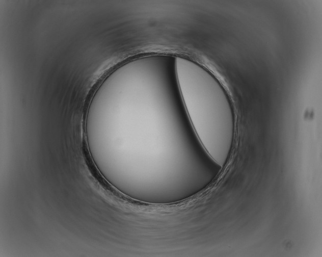 X0000090980011200708021151