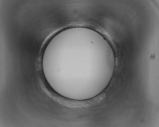 X0000090980012200708021151
