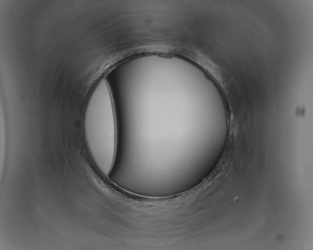 X0000090980013200708021151